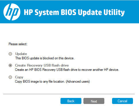 bios flash update windows 10